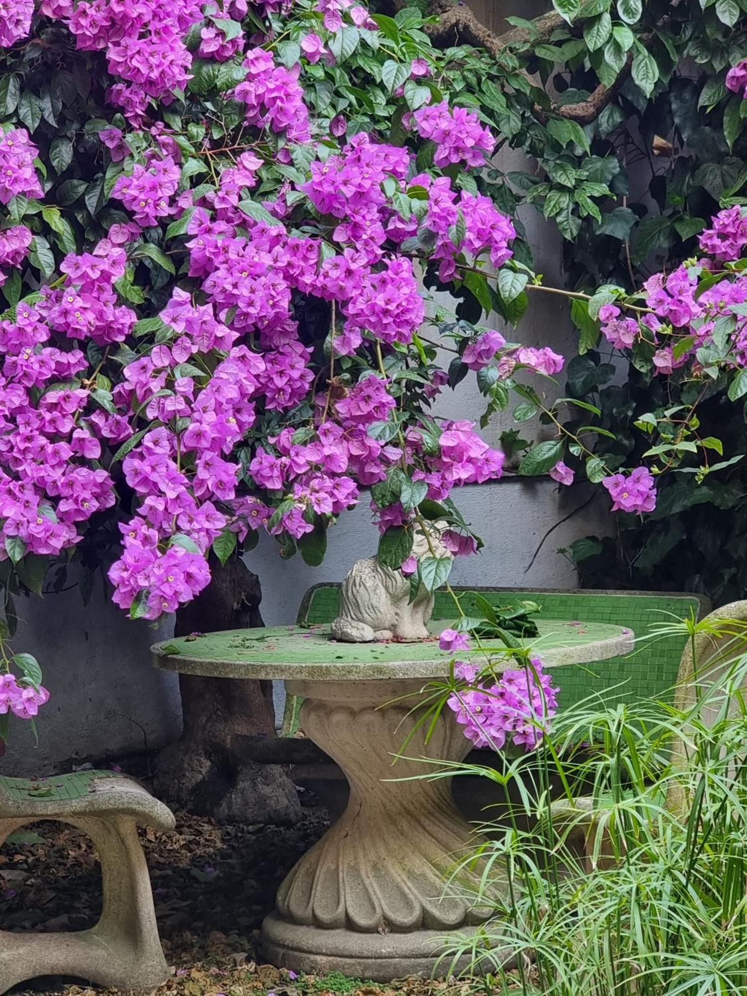 Vatican Fairytale Garden 로마 외부 사진